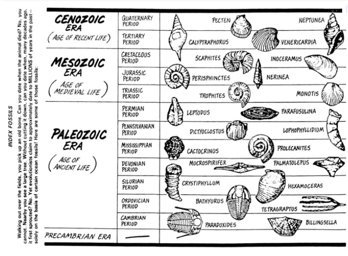 Index Fossil Chart
